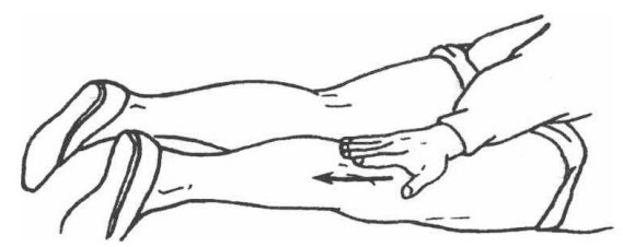 Forward Flat-Palm Pushing (Ping Zhang Shun Tui Fa)