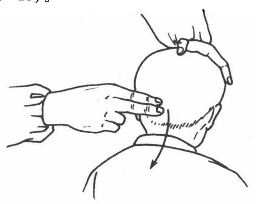  Forward Sword-Finger Pushing (Jian Zhi Shun Tui Fa)