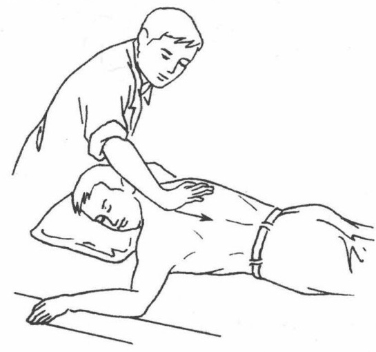 Forward Thenar Pushing (Zhang Gen Shun Tui Fa)