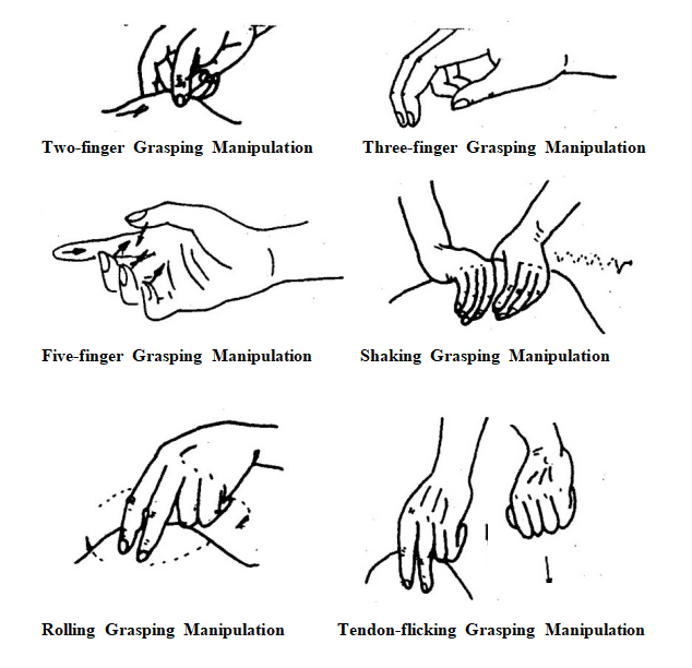 Grasping Manipulation