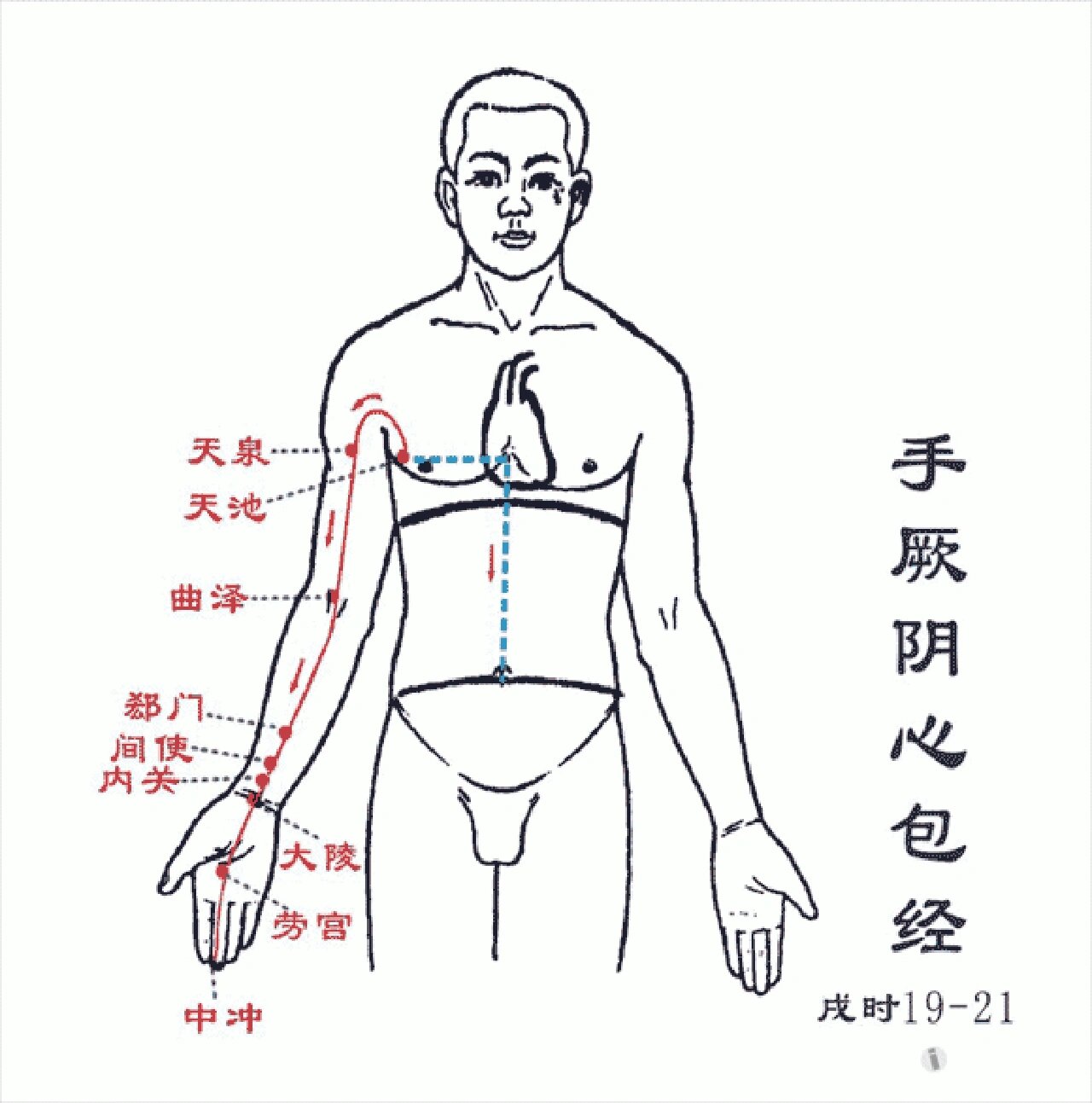 Pericardium Meridian Diagram