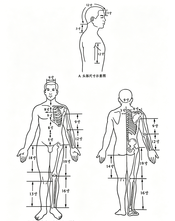 Proportional unit
