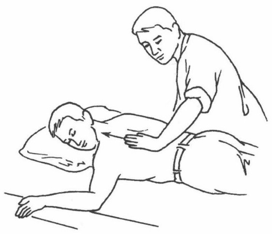 Reverse Flat-Palm Pushing (Ping Zhang Ni Tui Fa)