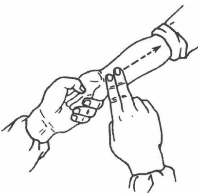 Reverse Sword-Finger Pushing (Jian Zhi Ni Tui Fa)