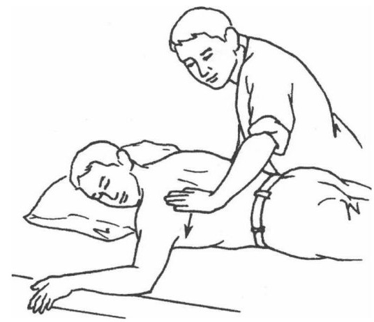 Transverse Flat-Palm Pushing (Ping Zhang Heng Tui Fa)