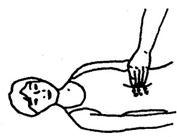 duozhibofa