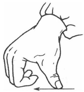 Thumb Pushing (Mu Zhi Tui Fa)
